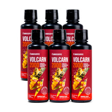 قم بتحميل الصورة في المعرض، 6 Bottles of Volcarn 2000