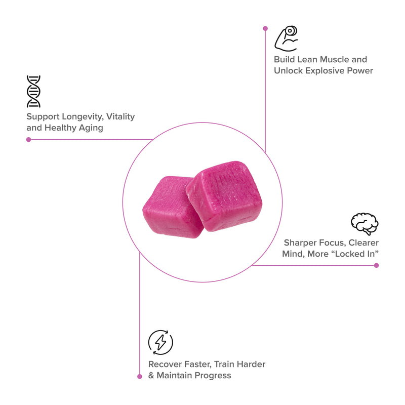 Two Inno Supps Creatine Monohydrate Chews with icons illustrating muscle support, recovery, focus, and healthy aging benefits.