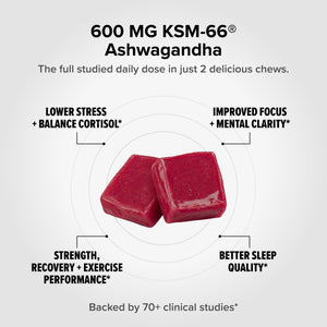 Two blackberry-colored Ashwagandha chews with callouts highlighting key benefits: lower stress and balanced cortisol, improved focus and mental clarity, strength and recovery support, and better sleep quality. Contains 600 mg of KSM-66® Ashwagandha per serving.
