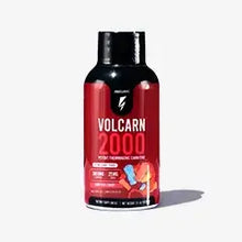 ギャラリービューアに画像をロードします、Free Volcarn 2000 Sample Test Test Test